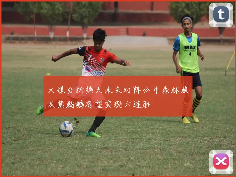 火媒分析热火未来对阵公牛森林狼灰熊鹈鹕有望实现六连胜